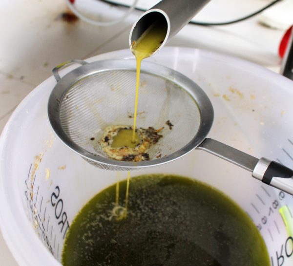 Azeite de oliva extravirgem brasileiro: ganhando espaço e qualidade